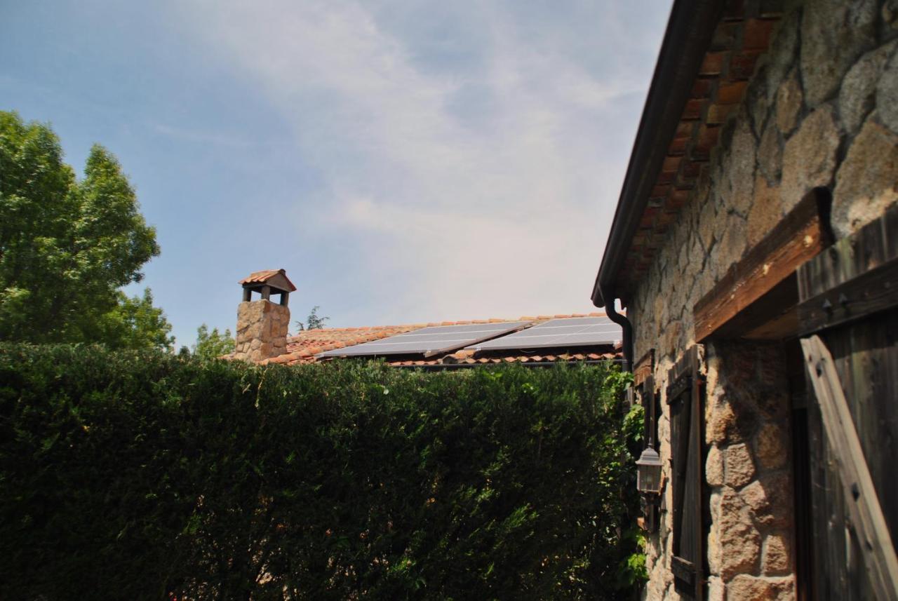 Regajales Tenzuela